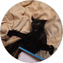 Angelina Magalhaes Amthor